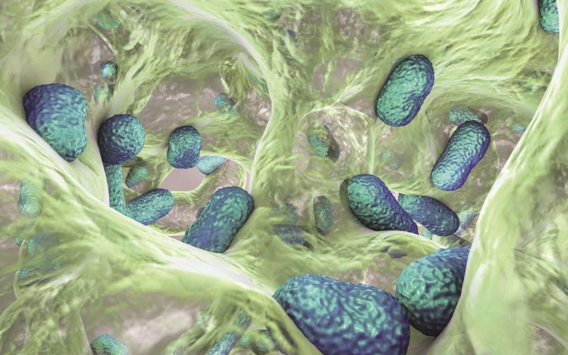 Contemporary approaches to biofilm management in the 21st century’s